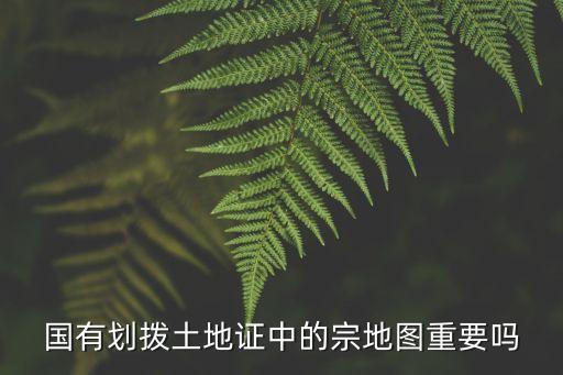 國(guó)有劃撥土地證中的宗地圖重要嗎