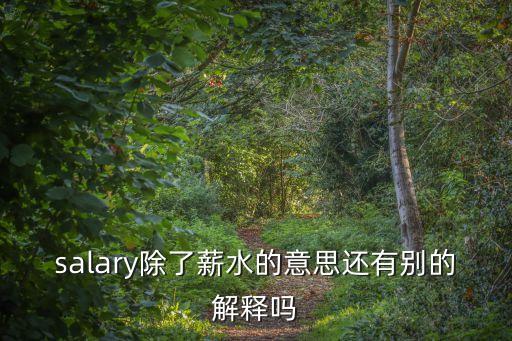 salary除了薪水的意思還有別的解釋嗎