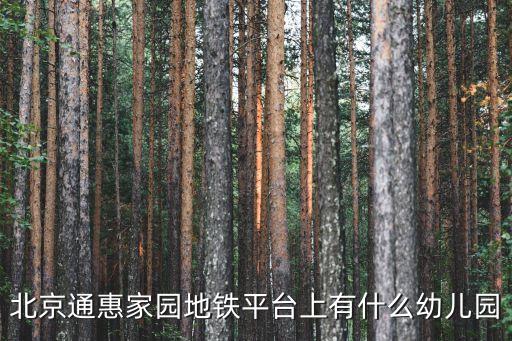 北京通惠家園地鐵平臺(tái)上有什么幼兒園