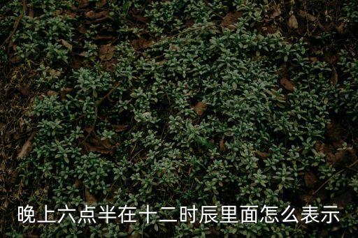 晚上六點(diǎn)半在十二時(shí)辰里面怎么表示
