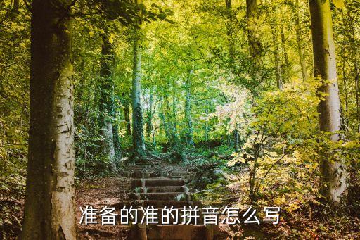 準(zhǔn)備的準(zhǔn)怎么寫(xiě)，準(zhǔn)備的準(zhǔn)的拼音怎么寫(xiě)