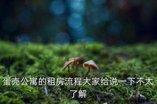 蛋殼公寓的租房流程大家給說一下不太了解