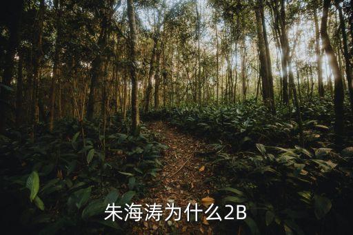 朱海濤為什么2B