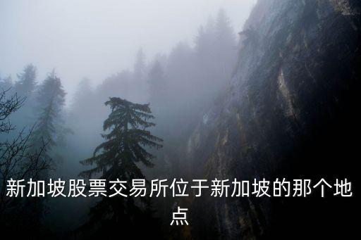 新加坡證券交易所，新加坡股票交易所位于新加坡的那個地點