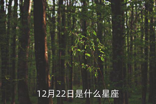 12月22，12月22是什么日子