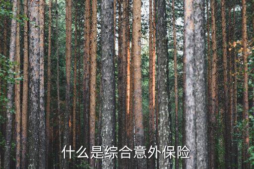 什么是綜合意外保險(xiǎn)
