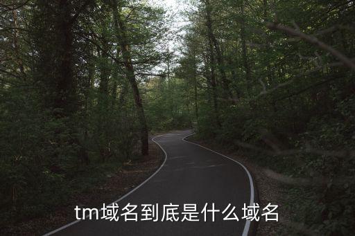 tm域名，tm域名是什么域名為什么這么貴并且一注冊(cè)就要注冊(cè)10年差未幾