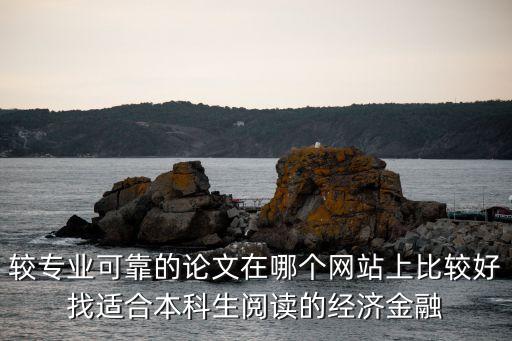 較專業(yè)可靠的論文在哪個網(wǎng)站上比較好找適合本科生閱讀的經(jīng)濟(jì)金融
