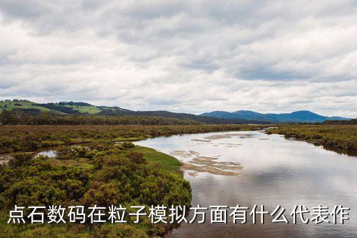 點(diǎn)石數(shù)碼在粒子模擬方面有什么代表作