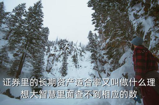 長期資產(chǎn)適合率，為什么說長期資產(chǎn)適合率較高會導致融資成本增加