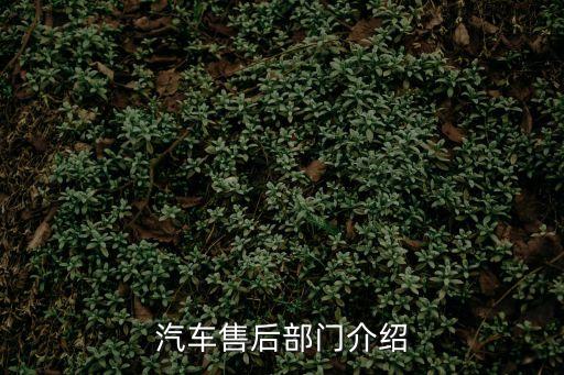汽車售后，汽車售后部門介紹