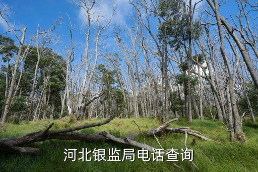 銀監(jiān)局24小時投訴電話，河北銀監(jiān)局電話查詢