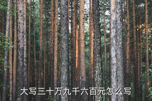 大寫三十萬(wàn)九千六百元怎么寫