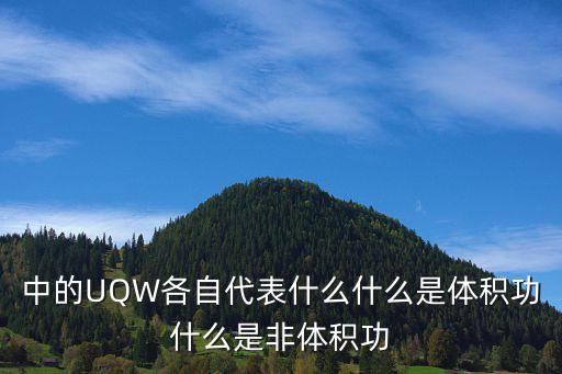 中的UQW各自代表什么什么是體積功什么是非體積功