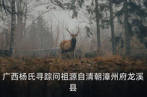 廣西楊氏尋蹤問祖源自清朝漳州府龍溪縣