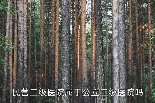 民營二級(jí)醫(yī)院屬于公立二級(jí)醫(yī)院嗎