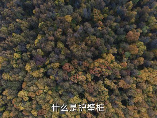 什么是護(hù)壁樁