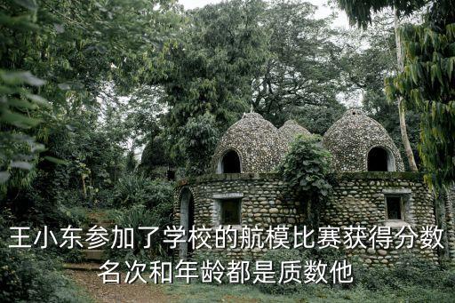 王小東參加了學(xué)校的航模比賽獲得分?jǐn)?shù)名次和年齡都是質(zhì)數(shù)他