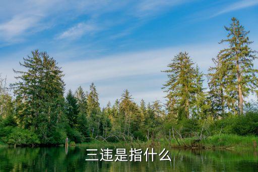 三違是指，安全生產(chǎn)嚴(yán)查三違是指