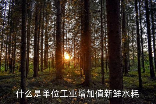 什么是單位工業(yè)增加值新鮮水耗