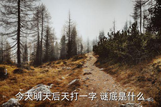 今天明天后天打一字 謎底是什么