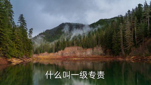 專責，什么是人生的一大專責