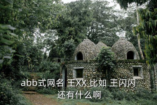 abb式網(wǎng)名 王XX 比如 王閃閃 還有什么啊
