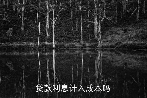 貸款利息計(jì)入成本嗎