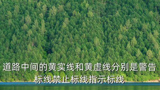 道路中間的黃實(shí)線和黃虛線分別是警告標(biāo)線禁止標(biāo)線指示標(biāo)線