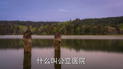 什么叫公立醫(yī)院