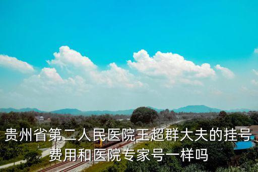 貴州省第二人民醫(yī)院王超群大夫的掛號費(fèi)用和醫(yī)院專家號一樣嗎