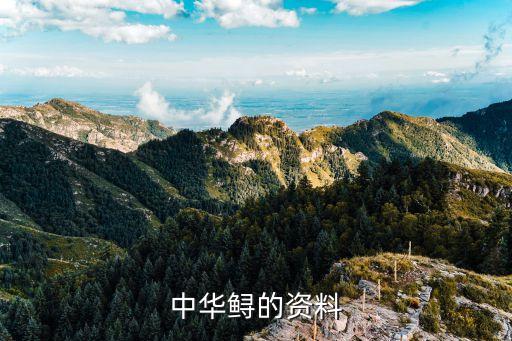 中華鰲，中華鱘的資料