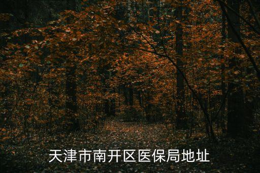 天津市南開區(qū)醫(yī)保局地址