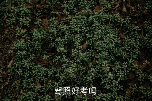 駕駛證好考嗎，駕照好考嗎