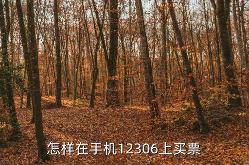 手機購票，手機購票軟件哪個好