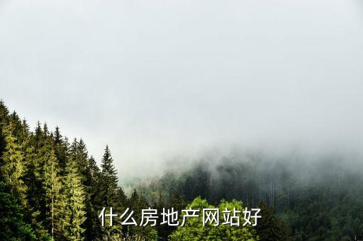 什么房地產(chǎn)網(wǎng)站好