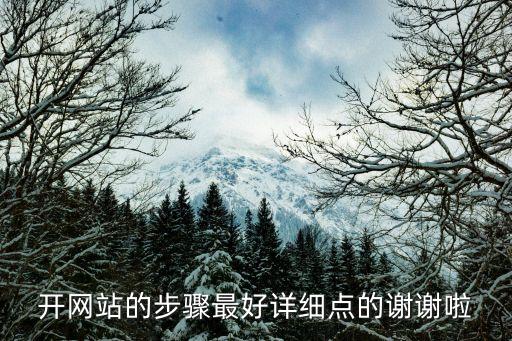 開網(wǎng)站的步驟最好詳細(xì)點(diǎn)的謝謝啦