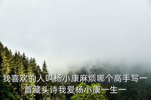楊小康，龍年楊姓男孩取名