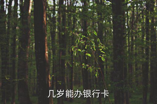 幾歲能辦銀行卡