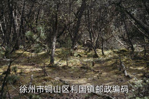 徐州市銅山區(qū)利國鎮(zhèn)郵政編碼