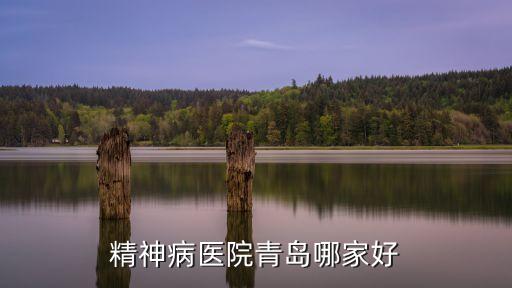 精神病醫(yī)院青島哪家好