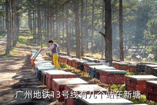 廣州地鐵13號線線路圖，廣州地鐵13號線有幾個站在新塘