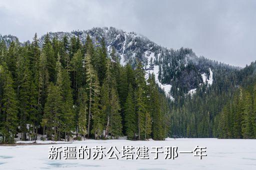 新疆的蘇公塔建于那一年