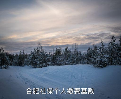 合肥社保個(gè)人繳費(fèi)基數(shù)