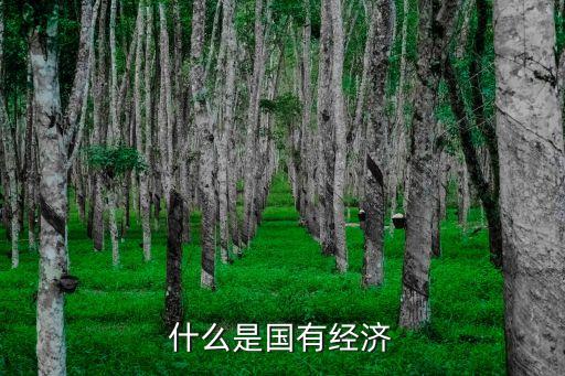 國有經(jīng)濟，國有經(jīng)濟有哪些
