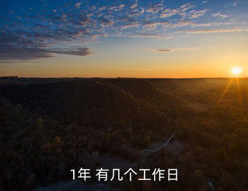 一年工作日，1年 有幾個(gè)工作日