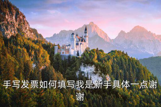 手寫發(fā)票如何填寫我是新手具體一點(diǎn)謝謝
