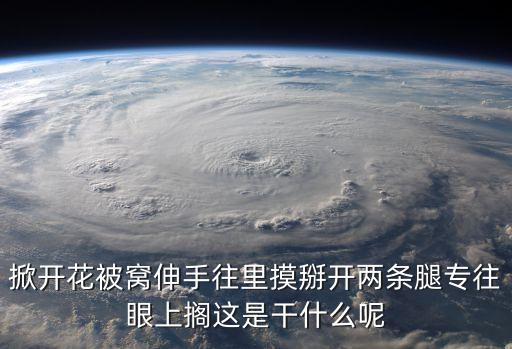 掀開花被窩伸手往里摸掰開兩條腿專往眼上擱這是干什么呢