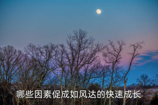 哪些因素促成如風達的快速成長