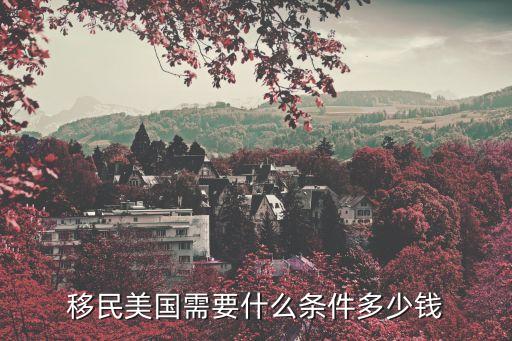 移民美國需要什么條件多少錢
